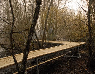 wooden-dock.jpg