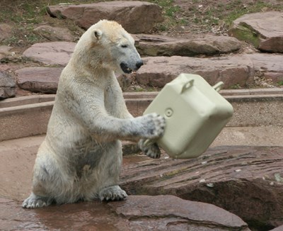 Nuremberg Zoo (3).jpg