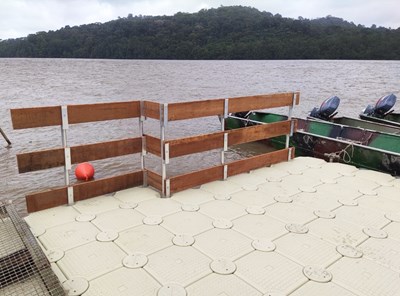 Ponton Stoupan 2.jpg